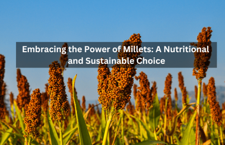 Embracing the Power of Millets A Nutritional and Sustainable Choice
